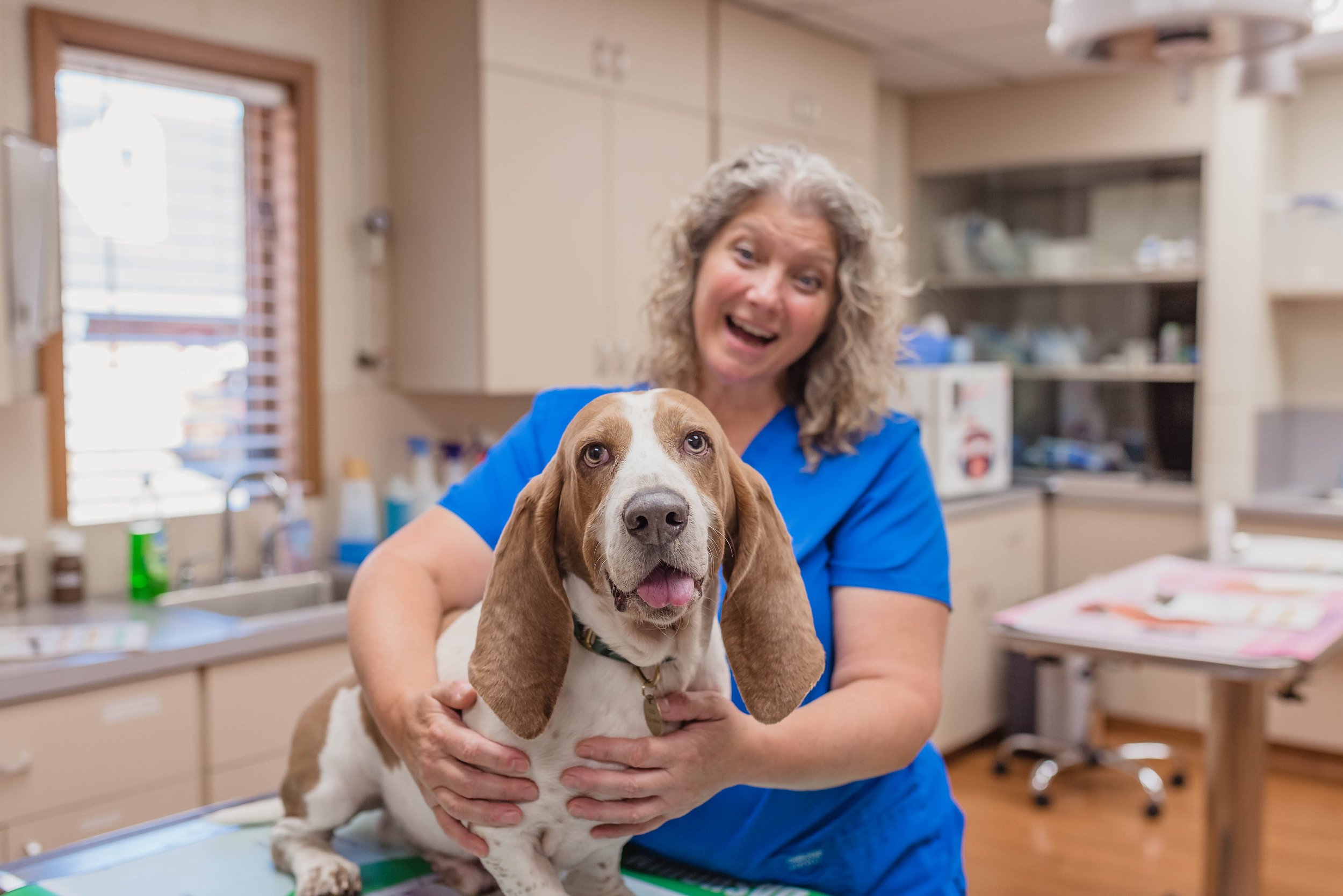 Resources - Veterinary Recommended - Hicks Animal Clinic