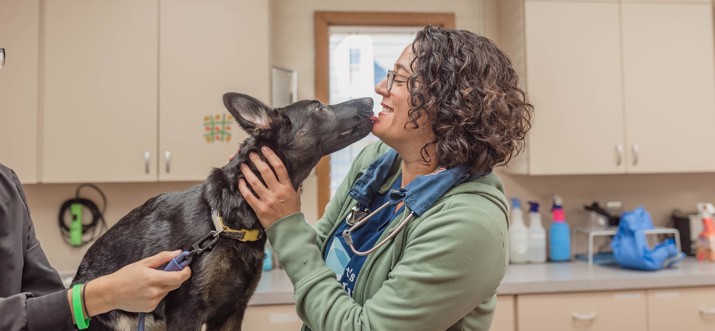 Services Veterinary Clinic Greenville, Wilson, & Rocky Mount NC