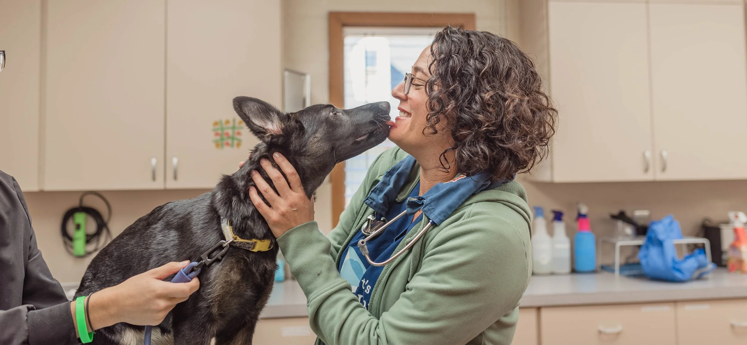 Services - Veterinary Clinic in Rocky Mount NC - Hicks Animal Clinic
