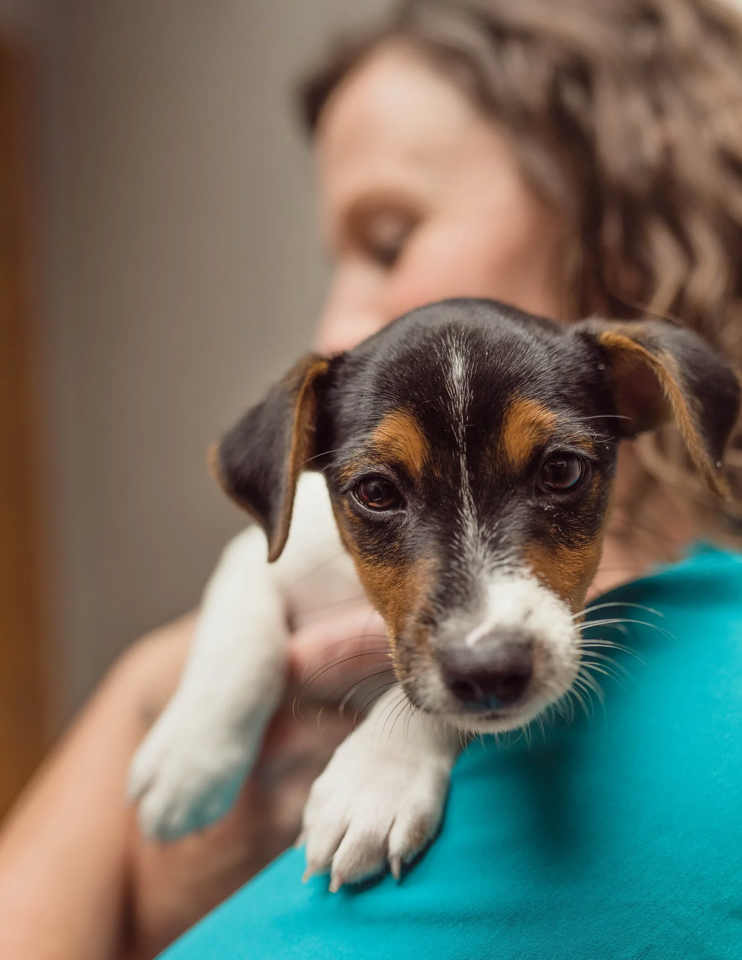 Pet pictured on the Hicks Animal Clinic Testimonials page
