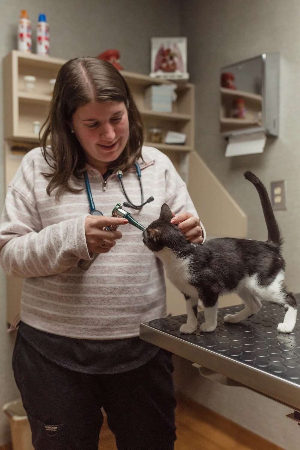 Veterinary care at Hicks Animal Clinic