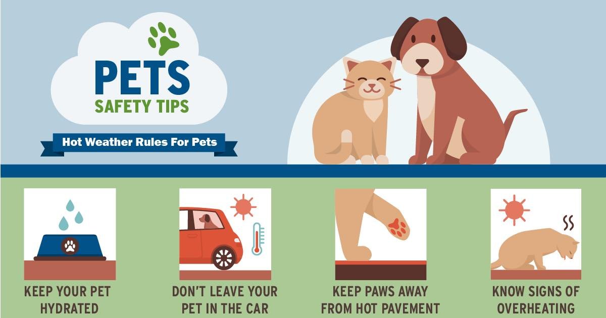 ☀️ Summertime is right around the corner ☀️

As temperatures rise, remember these important pet safety tips!