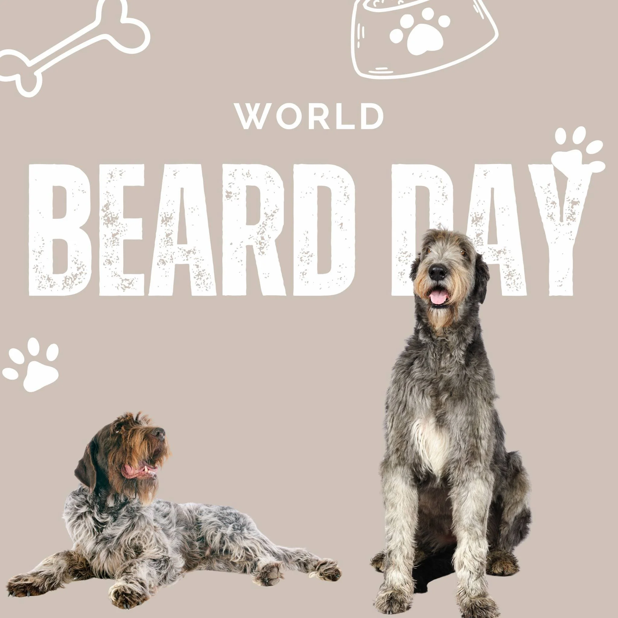 It's World Beard Day! 

Can you guess these 2 bearded dog breeds? We've had the pleasure of both of these breeds being patients are our clinic.
