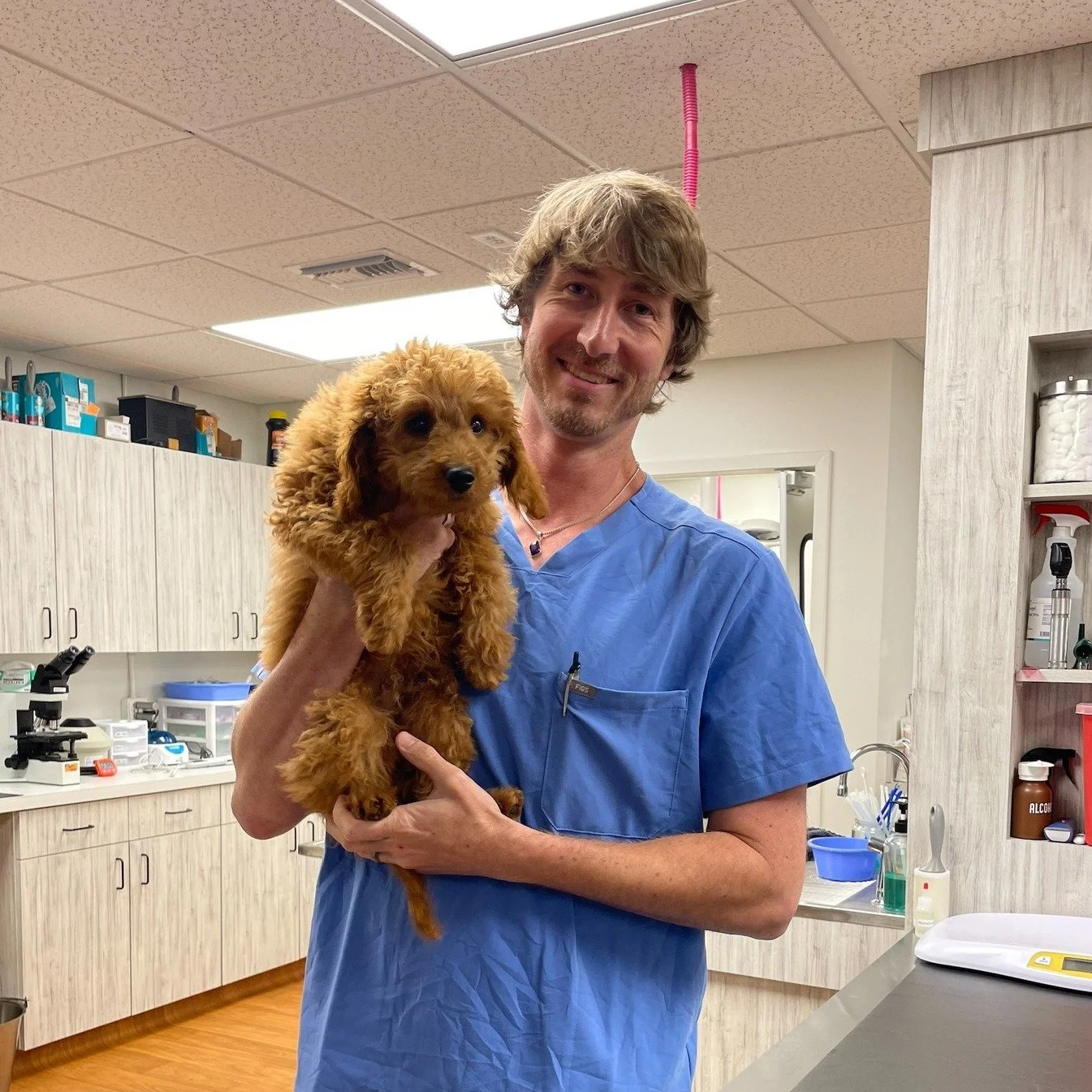 🐾 Meet Zaxby &mdash; a puppy as golden as a basket of Zaby's chicken tenders! 🐔

Dr. Michael loved spending time with this sweet boy during his visit. With his warm, golden coat and puppy-dog charm, Zaxby has already stolen our hearts (and maybe ma