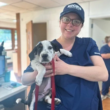 🎃🐾 Deanne got to love on sweet Beau this morning while he came in for his puppy boosters! Nothing like puppy snuggles to kick off a fall morning! 🍂🧡 #PuppyLove #OctoberVibes #ClinicCuties #HicksAnimalClinic