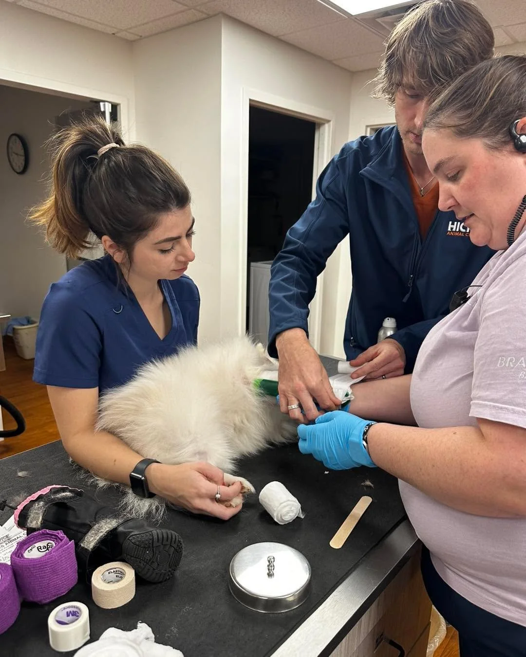 Teamwork and gentle care make all the difference! 💕 Dr. Michael, Emily, and Marybeth, making sure sweet Thor gets the treatment needed to heal strong and happy. #VeterinaryCare #HealthyPets #HicksAnimalClinic