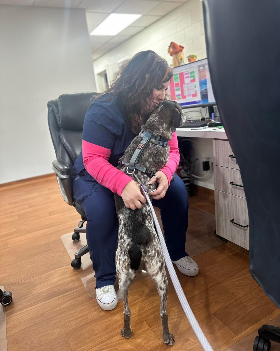 Piper soaked up all the love and attention at her appointment today! 💕🐾 We can&rsquo;t get enough of those sweet snuggles and happy tail wags.

#PamperedPup #VetLove #HappyTails #HicksAnimalClinic #FurryFriends #PetCare #HealthyPets #DogLove