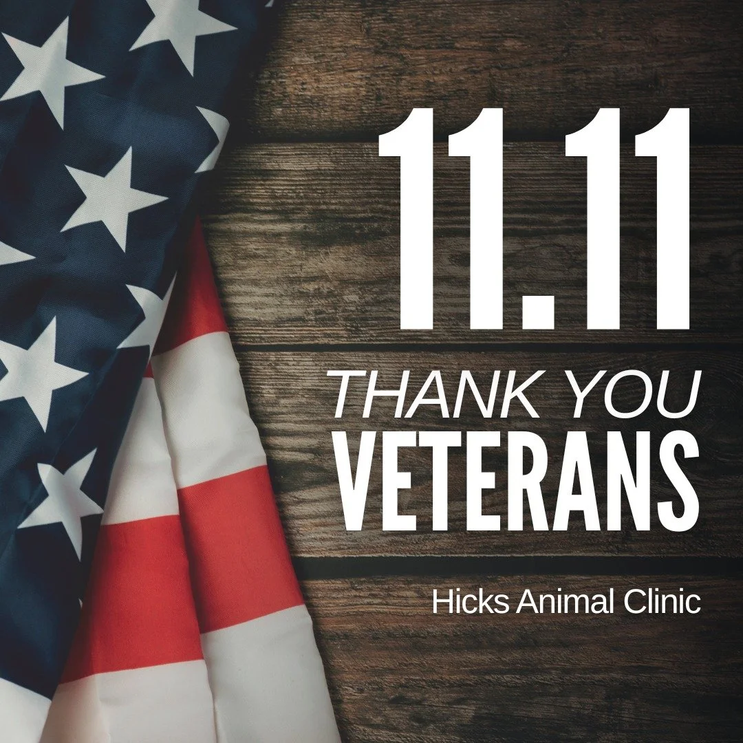 Today and every day, we pause to honor the brave men and women who have served our country. Your courage, dedication, and sacrifice protect the freedoms we hold dear.

From all of us at Hicks Animal Clinic, thank you for your service &mdash; we are f