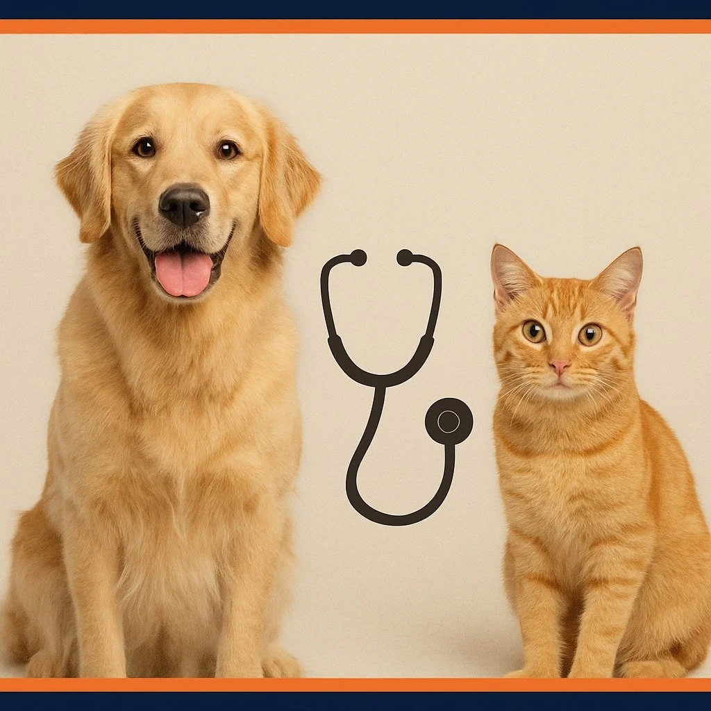 🐱🐶 Did you know? Regular wellness exams can catch issues before they become problems.
Start the month off strong&mdash;call or text us to schedule your pet&rsquo;s appointment!

#HealthyPets #HicksAnimalClinic #PetCareWithHeart #vetclinic #PetHealt