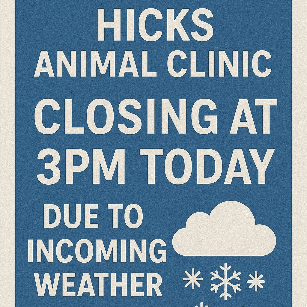 ❄️ WEATHER CLOSURE NOTICE ❄️

For the safety of our staff, clients, and pets, Hicks Animal Clinic will be CLOSING AT 3:00pm due to severe weather conditions.

For non-urgent inquiries, please send us an email or text, and we will respond once we retu