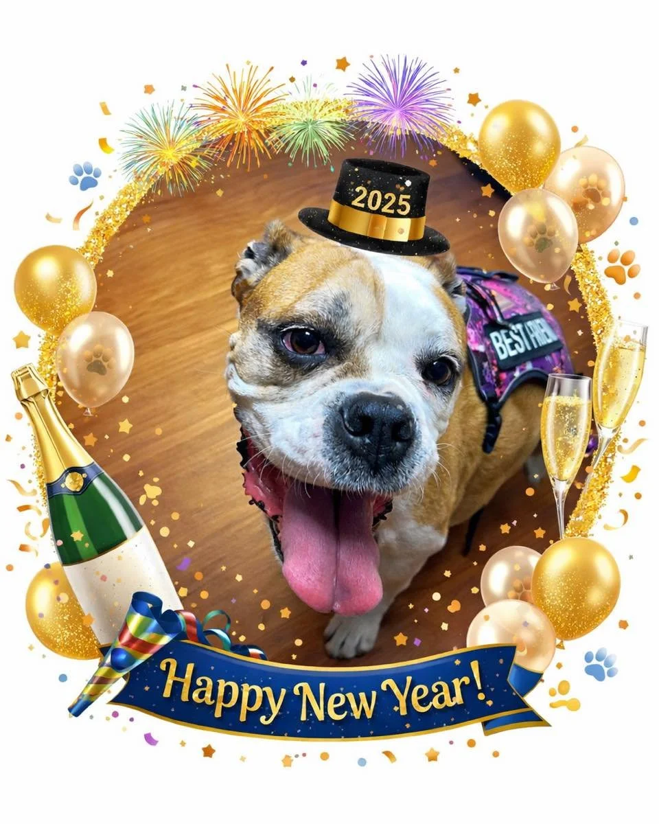 🎊 Popping into the New Year with These Hours! 🐾✨

As we count down to the new year, here&rsquo;s when we&rsquo;ll be here for your pets this week:

🕒 Wednesday: 7:30 AM &ndash; 3:30 PM
🎆 Thursday: Closed for New Year&rsquo;s Day
🕒 Friday: 7:30 A