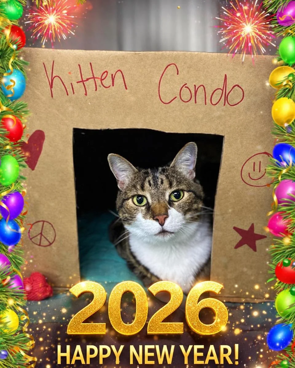 🎉🐶🐱 We&rsquo;re paws-itively excited to welcome 2026!
Happy New Year from all of us at Hicks Animal Clinic! Thank you for trusting us with your fur babies. We&rsquo;re so grateful for every tail wag, nose boop, and kitty side-eye. 😼💛
Here&rsquo;