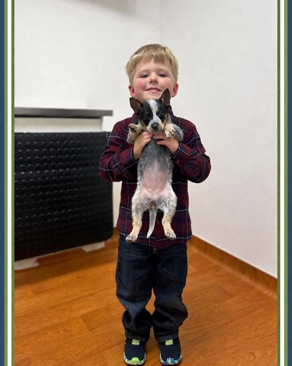 🐾💗 First Puppy Visit Alert! 💗🐾

Sweet Ella came in for her very first puppy visit and brought her favorite person along &mdash; her big brother! 🥹🐶 Nothing better than starting your vet journey with cuddles, courage, and a whole lot of love. We