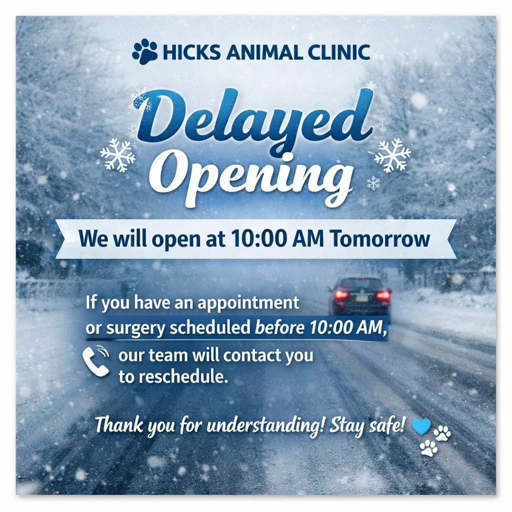 ❄️ Delayed Opening Notice Tuesday, January 27th ❄️

Due to possible ice and hazardous road conditions, Hicks Animal Clinic will have a delayed opening tomorrow and will begin seeing patients at 10:00 AM.

🐾 If you have a scheduled appointment or sur