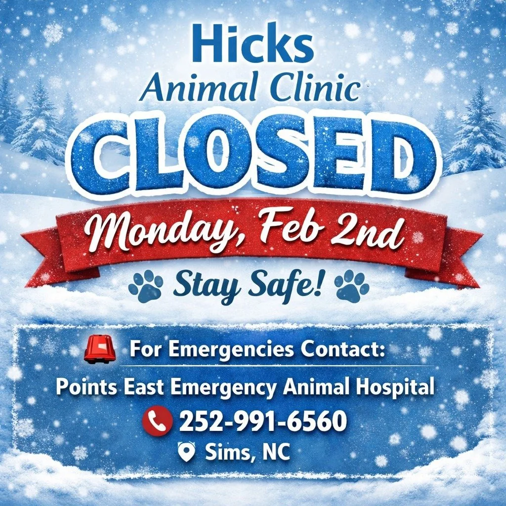 ❄️ Weather Closure Notice ❄️

Due to the snow and unsafe road conditions, Hicks Animal Clinic will be CLOSED tomorrow, Monday, February 2nd, 2026 for the safety of our staff, clients, and patients.

If you have an appointment scheduled for tomorrow, 