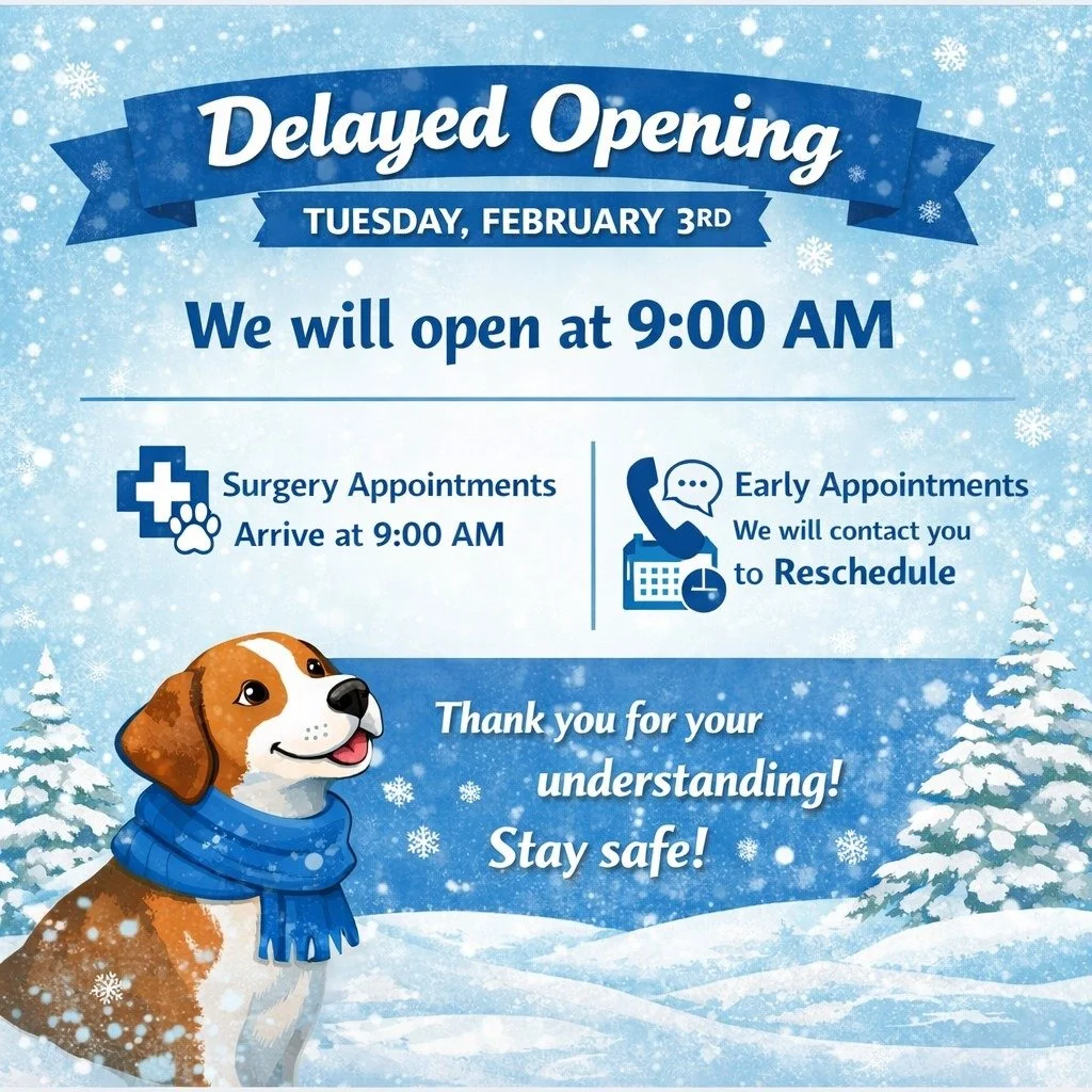 ❄️ Delayed Opening Notice &ndash; Tuesday, February 3rd ❄️

Due to current road conditions, Hicks Animal Clinic will have a delayed opening tomorrow (Tuesday, February 3rd) and will open at 9:00 AM.

🐾 Surgery appointments: Please arrive at 9:00 AM.