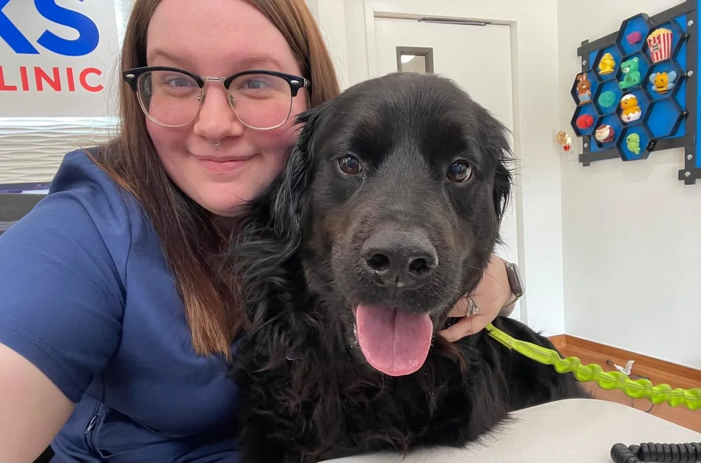 Ellie May stopped by to make sure our CSR Mackenzie was doing her job correctly&hellip; and honestly, we think she passed the inspection. 🐶✔️

Ellie May&rsquo;s review:
⭐ Belly rubs &ndash; excellent
⭐ Treat quality &ndash; acceptable but could impr