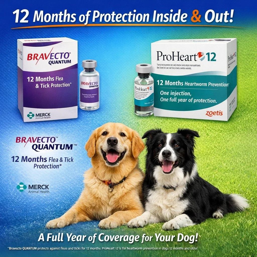 Now offering Bravecto Quantum at Hicks Animal Clinic 🐾

Hicks Animal Clinic is proud to be the only clinic in the Rocky Mount area to offer Bravecto Quantum.

For dogs needing strong, convenient parasite protection, Bravecto Quantum paired with ProH