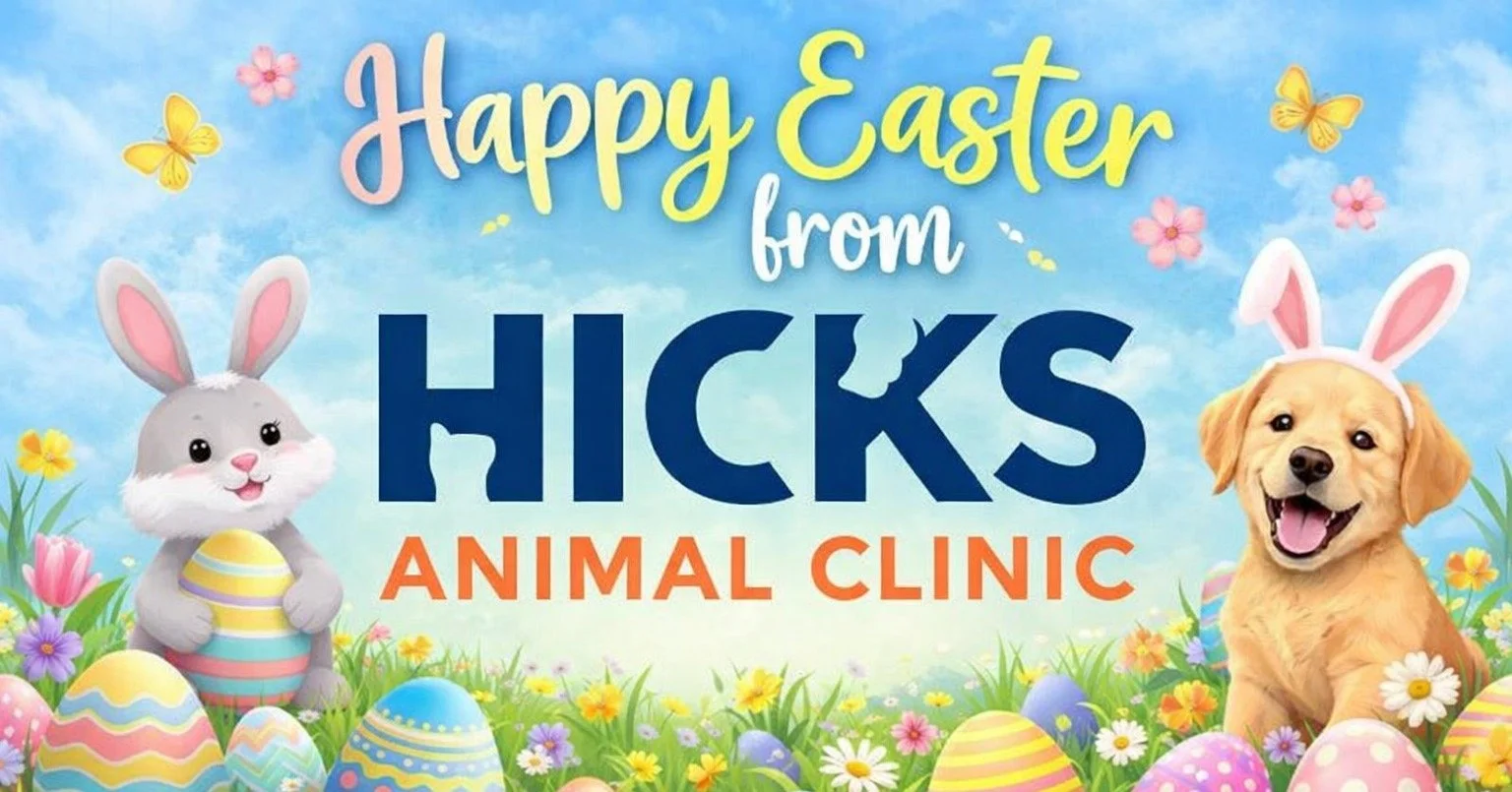🐣🌷 Happy Easter from all of us at Hicks Animal Clinic! We&rsquo;re sending warm hugs and heartfelt wishes to you and your beloved pets on this beautiful spring day. 💛🐰

May your Easter be filled with gentle moments, happy tails, and all the love 