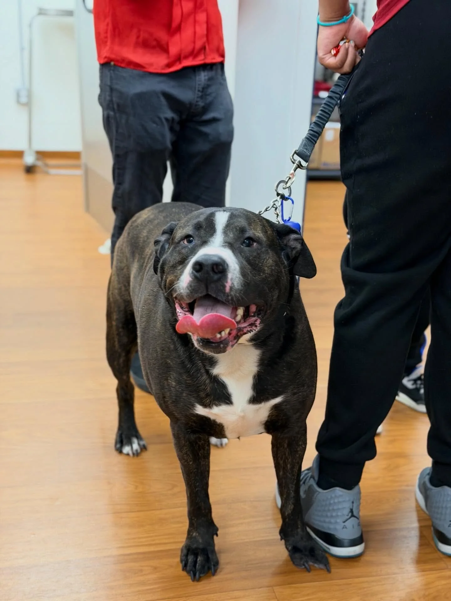 Our Open House was a success! 🎉

A big thank you to everyone who came out and spent the day with us. We loved meeting and talking with you all!

Missed it? Join us on April 25 from 1&ndash;4 PM for another chance to meet our team, win some great giv