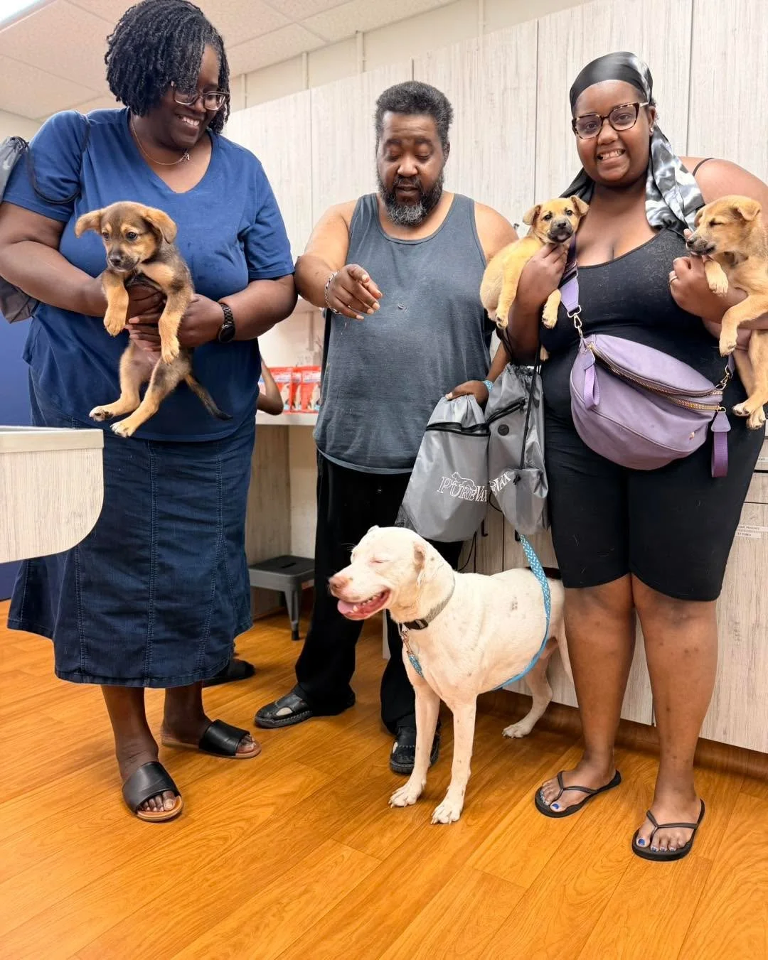 What a day! 🐾

A huge thank you to everyone who stopped by our Open House yesterday. We loved seeing so many friendly faces, meeting your sweet pets, and sharing a fun afternoon with our community. You made it such a special success for all of us at