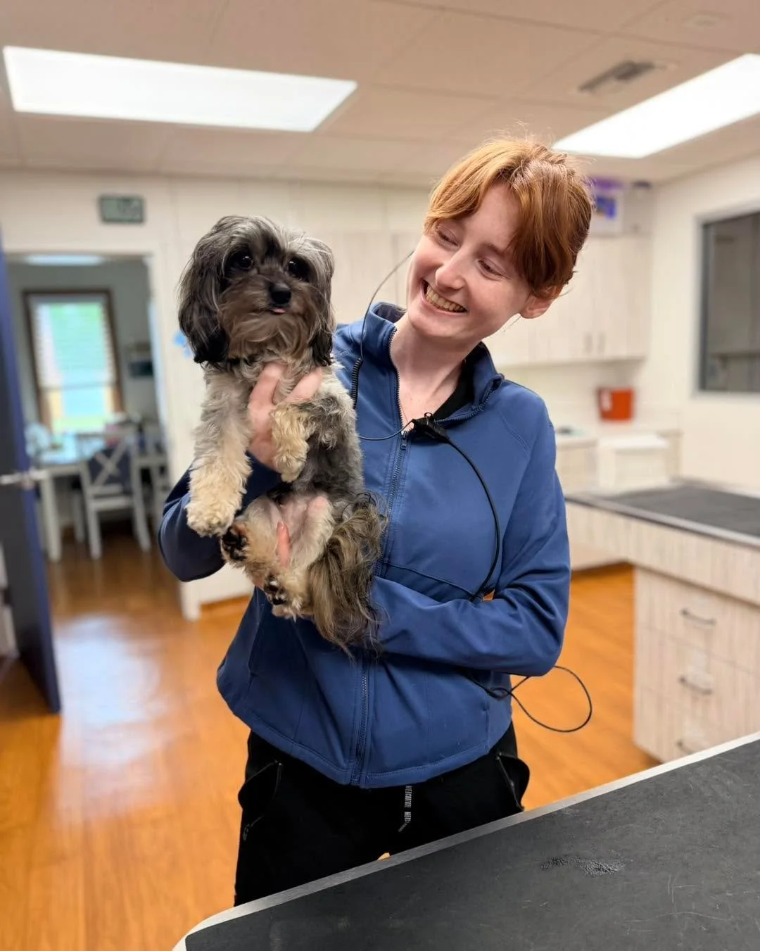 Some patients bring their paperwork&hellip; Patootie brought the personality 🐾😄

In for a pre-op visit and already winning over the entire clinic, this tiny superstar made sure our vet assistant Madison didn&rsquo;t miss out on any snuggle breaks ?