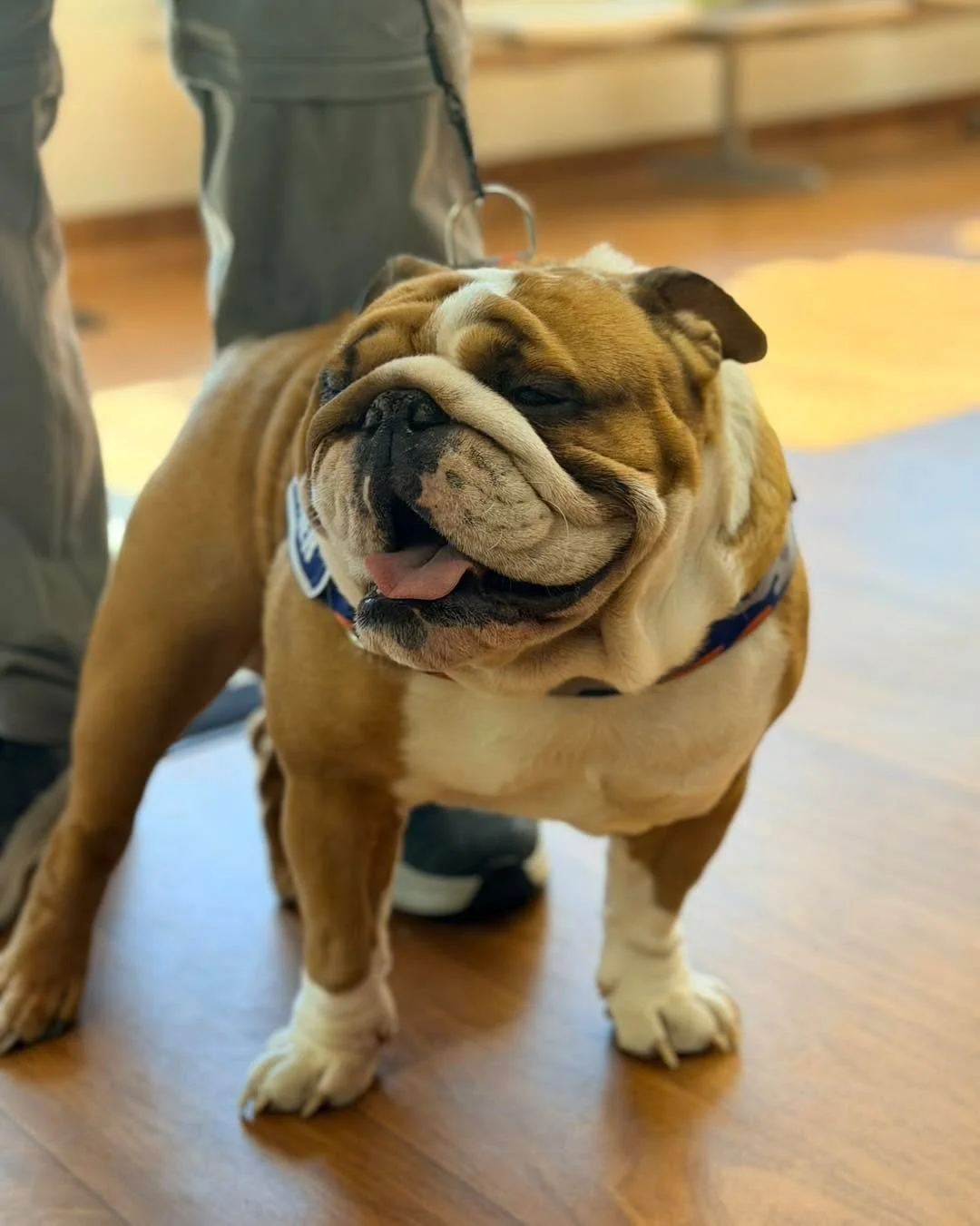 👀 Ryder&rsquo;s got his eye on feeling better! 🐶💙

Red eyes, squinting, discharge, excessive tearing, or pawing at the face can all be signs that something isn&rsquo;t right with your pet&rsquo;s eyes. Eye issues can go from minor to serious quick