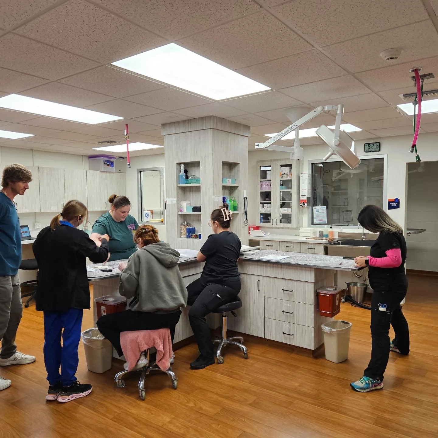 🐾📚 At Hicks Animal Clinic, learning never stops!

Even during downtime, our team takes every opportunity to expand their knowledge, sharpen their skills, and collaborate with one another. Continuous education is a vital part of our commitment to pr
