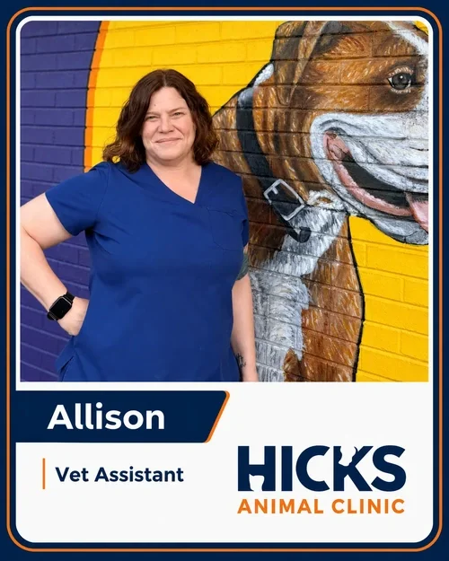 Allison — Veterinary Assistant