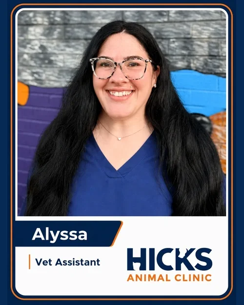 Alyssa — Veterinary Assistant