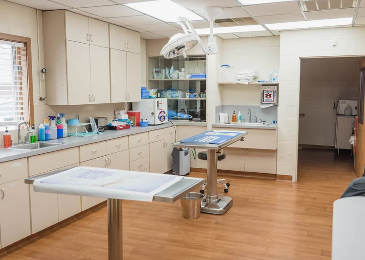 Hicks Animal Clinic before the expansion, photo 10