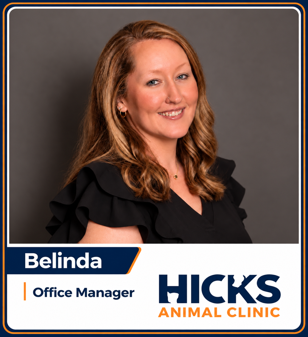 Belinda — Office Manager