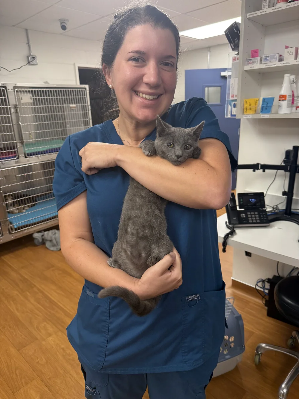 Dr. Claire holding a gray cat