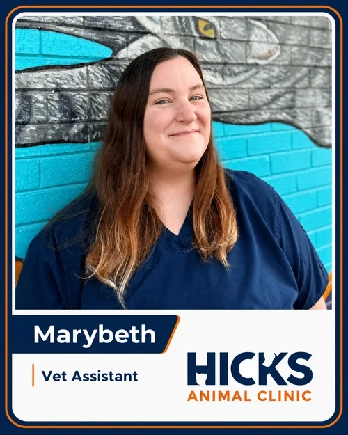 Marybeth — Veterinary Assistant