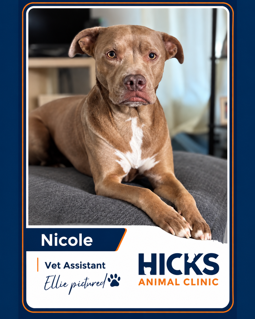 Nicole — Veterinary Assistant — Ellie pictured