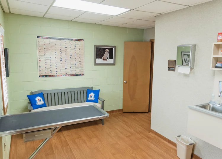 Hicks Animal Clinic before the expansion, photo 11