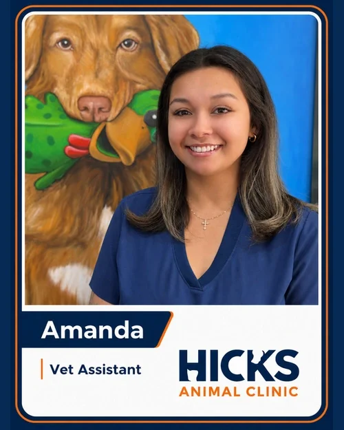 Amanda — Veterinary Assistant