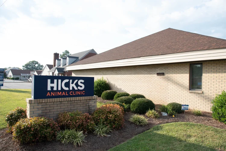 Hicks Animal Clinic before the expansion, photo 5