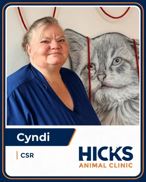 Cyndi — Client Service Representative