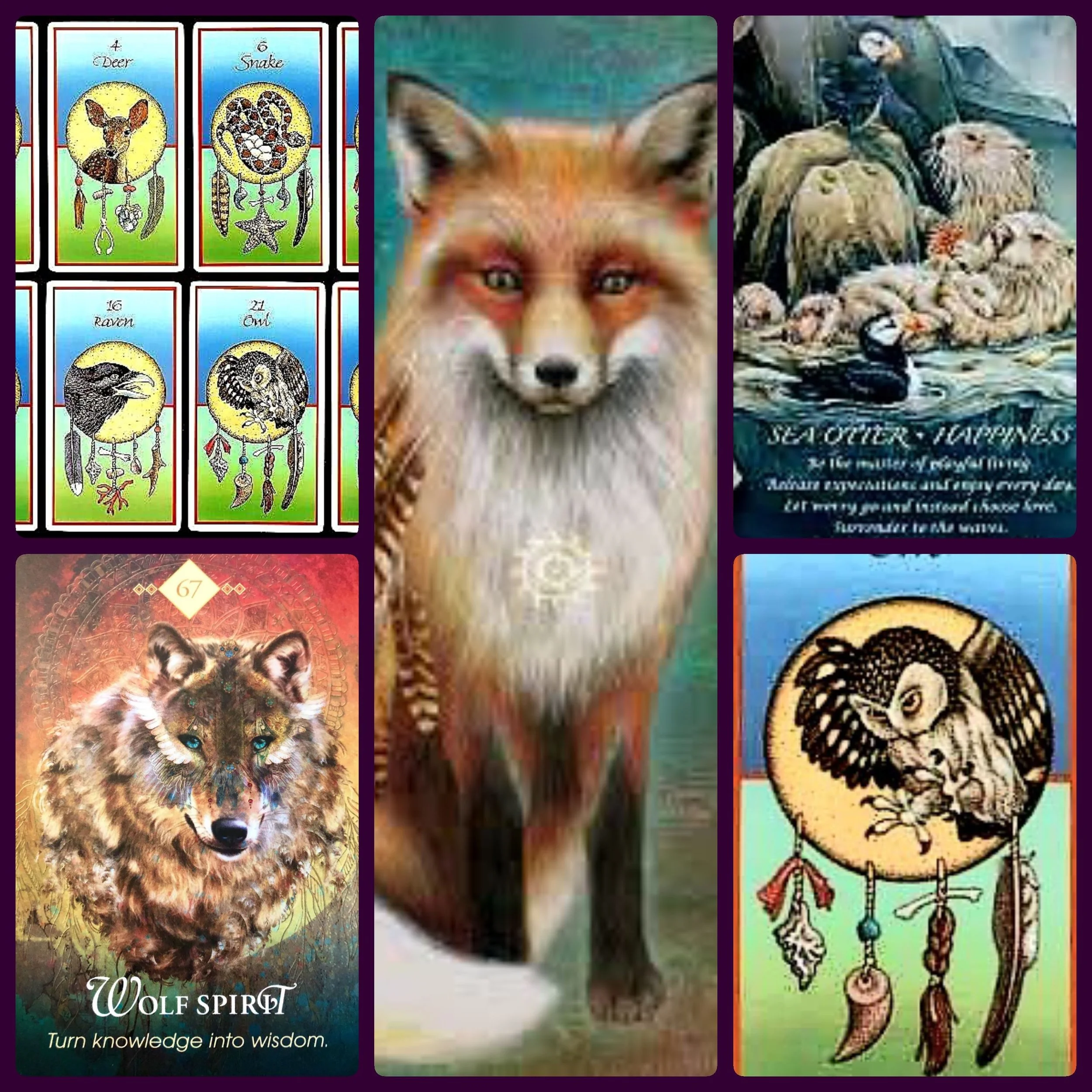 Medicine Card Reading — Dreamflower Tarot