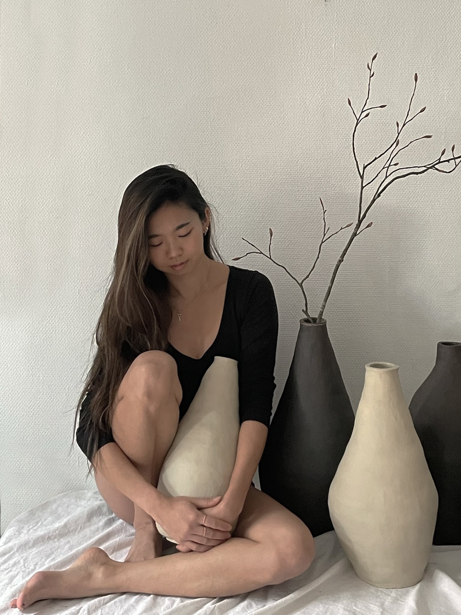 DEMOISELLES03a.jpg
