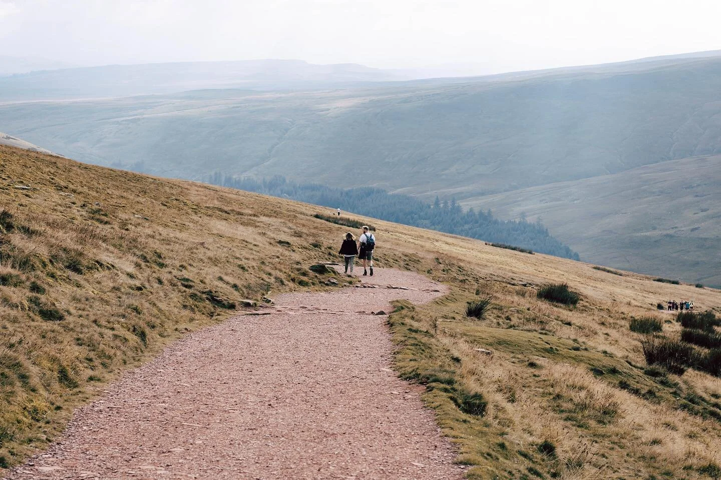 the great outdoors 🗻 

&bull;
&bull;
&bull;
&bull;

#scenictrail #scenicview #thegreatoutdoors #naturelovers #landscapecaptures #penyfan #breconbeacons #powys #mountainviews #hikingadventures #hikingtrails #lightroomedits #moodygrams #canonshooters 