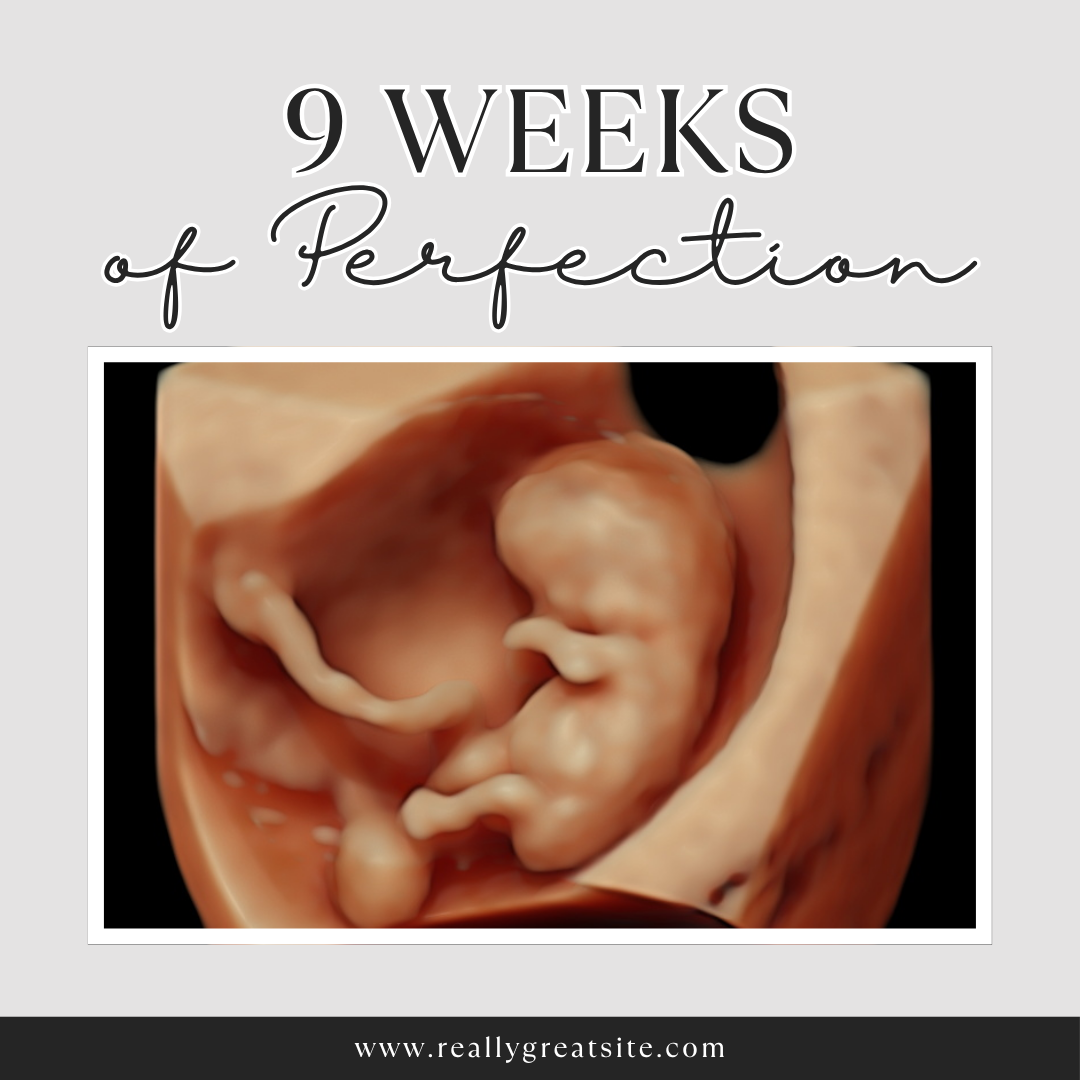 9 Weeks.png