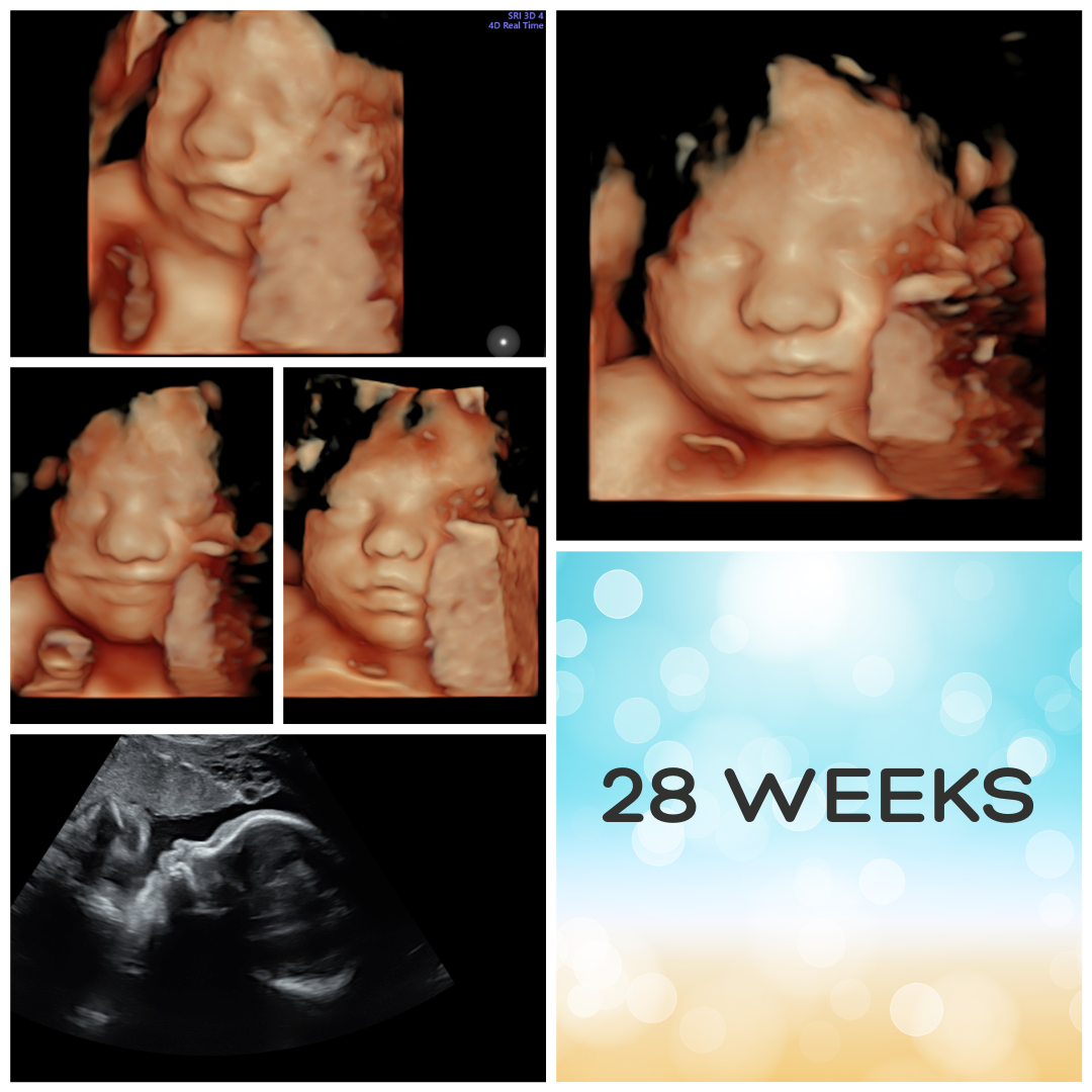 28 WEEKS copy.png