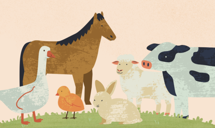 Farm Animal Exploration and Story time with ZenHippo