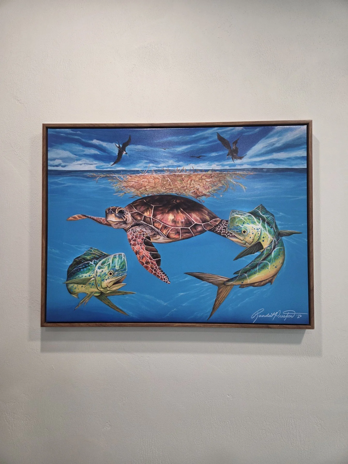 Sea Turtle and Mahi Framed Canvas Print 16 x 24