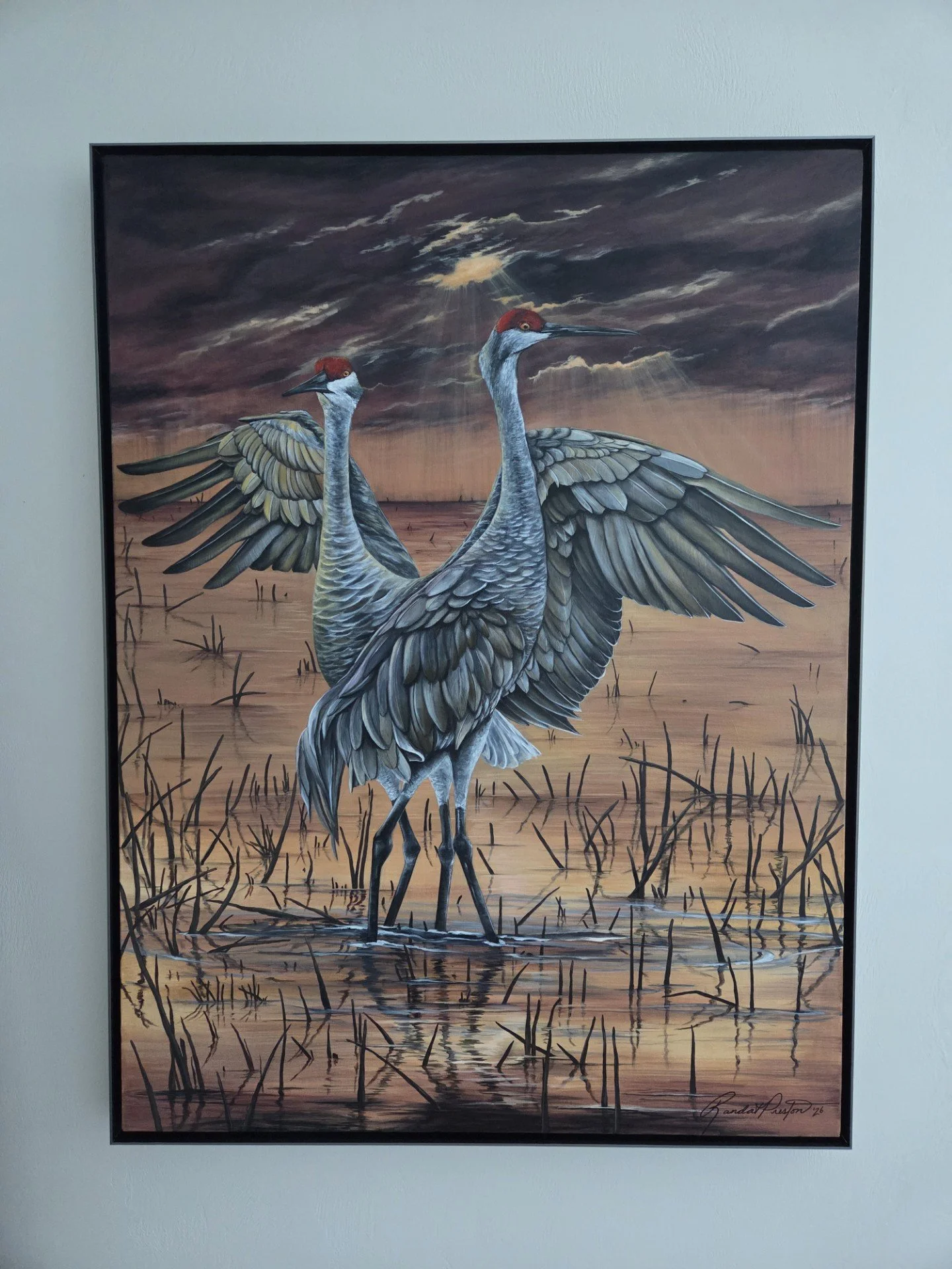 website cranes.jpg