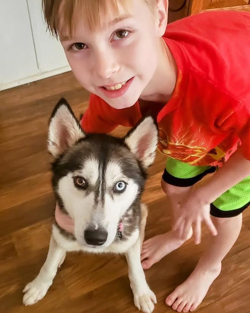 It has been a busy April for us at Puppies &amp; Golf! One way we seek to support dogs everywhere is through providing grants to shelters and families in need. From helping underfunded no-kill organizations to enabling families to pay for emergency s
