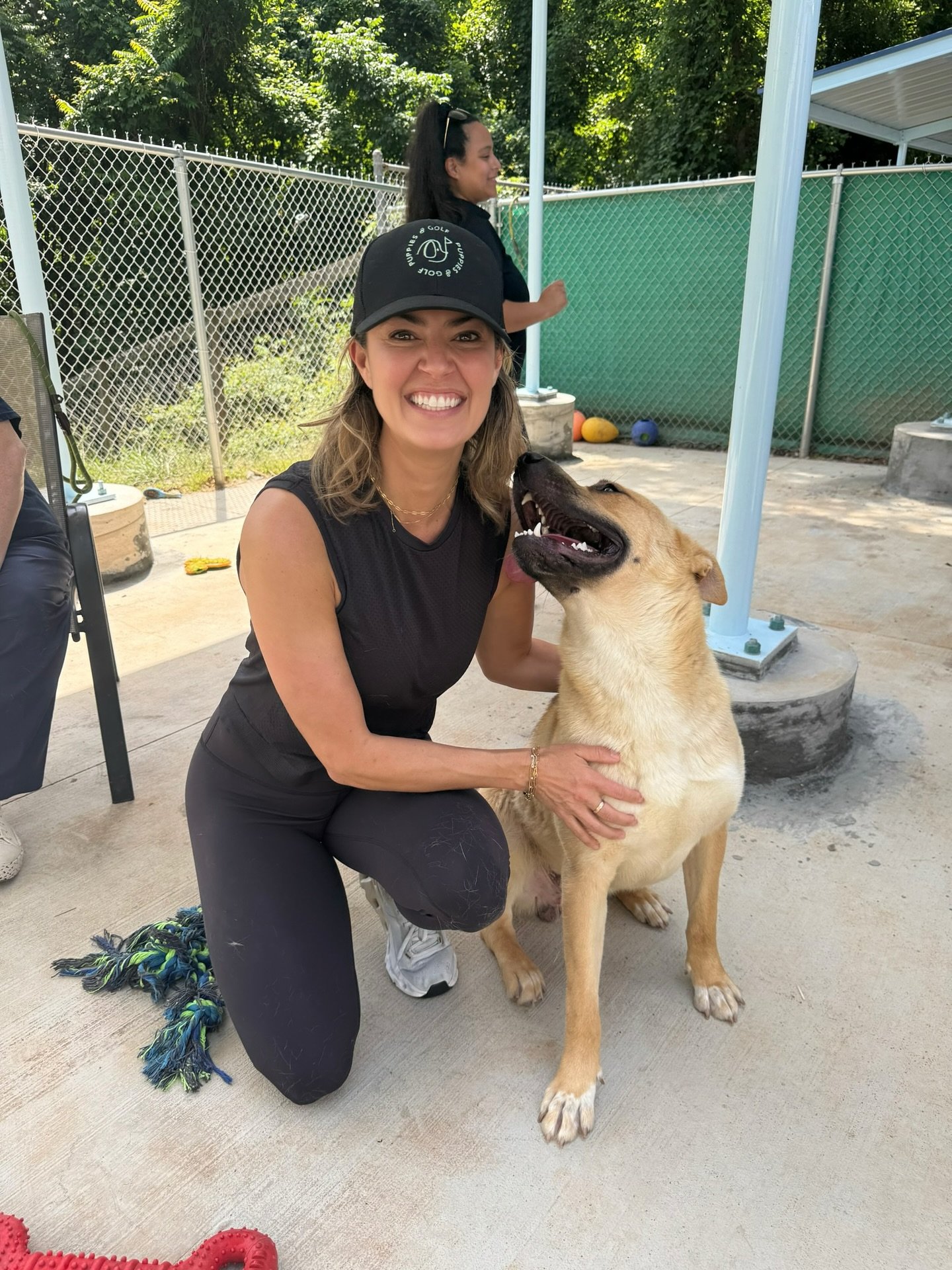 When Amanda visited @animals_clt two weeks ago, the shelter already had over 400 dogs. Since then, they&rsquo;ve been taking in more every single day, including 40 just yesterday.

They&rsquo;re now beyond capacity and urgently need help.

If you&rsq