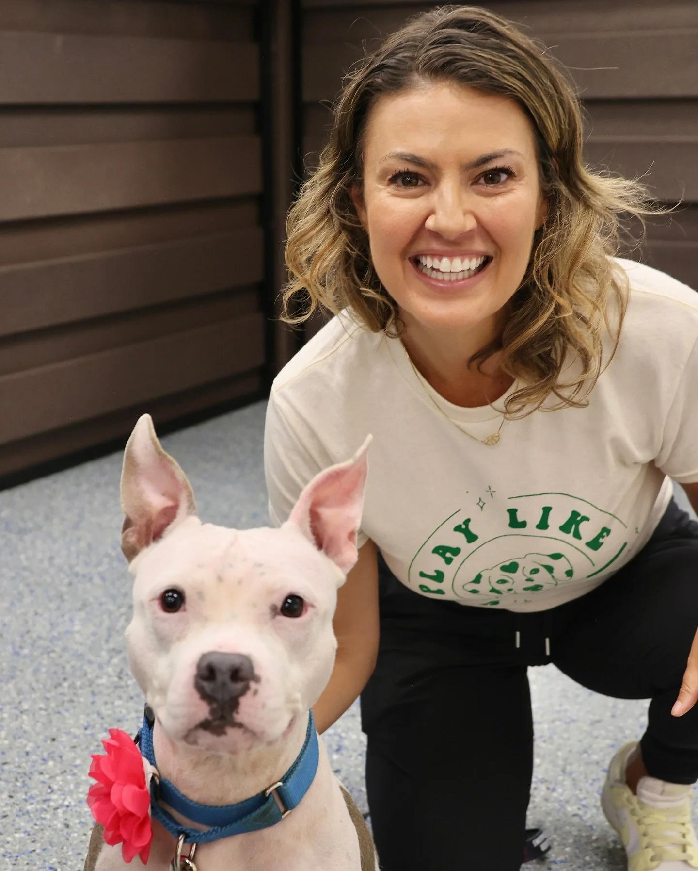 Meet Draya, our August Dog of the Month powered by Petsense by Tractor Supply! 🥰

Draya is a 3-year-old mixed breed who came to the Humane Society of Charlotte while nursing eight puppies. She gave them the best start to life, and now it&rsquo;s her